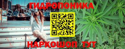 твердый Коммунар