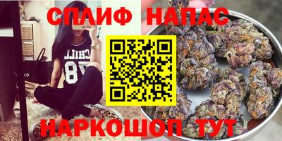 твердый Коммунар